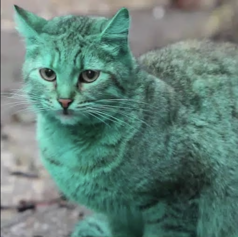 GREENCAT